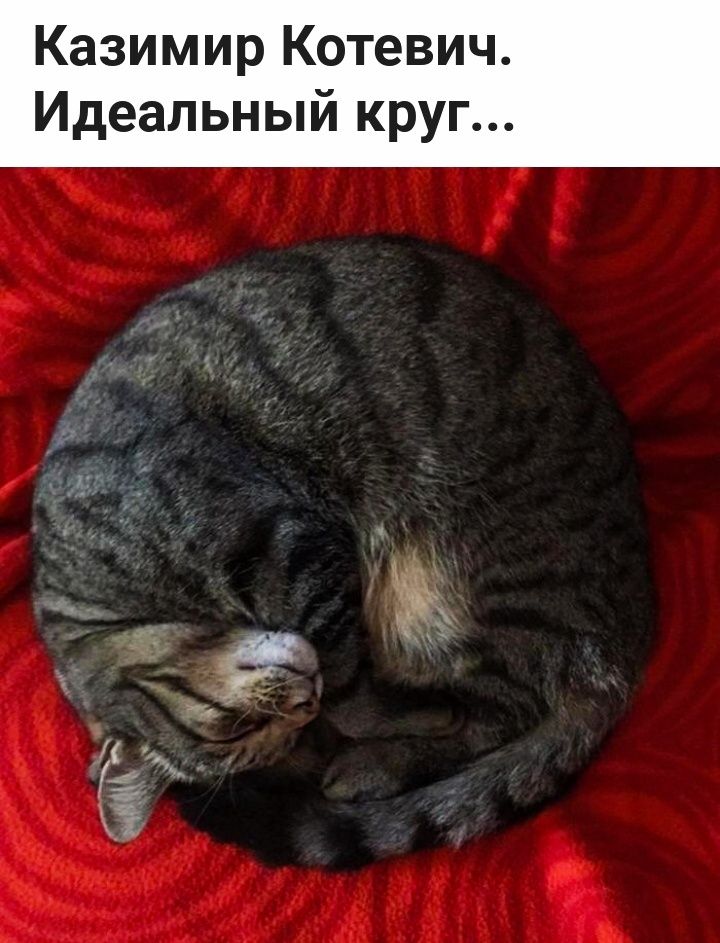 Казимир Котевич Идеальный круг Ё ы
