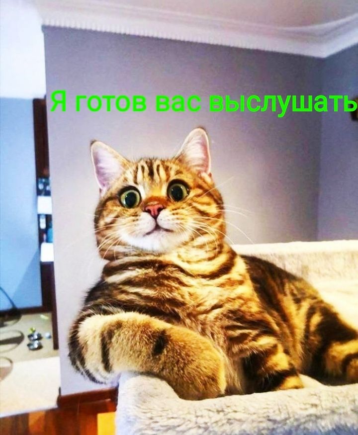 _