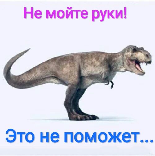 Не мойте руки Это не поможет
