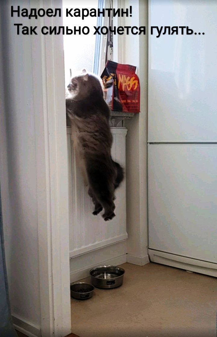 гулять
