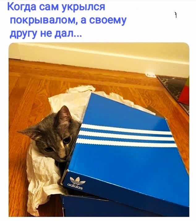 Когда сам укрылся покрывалом а своему другу не дал