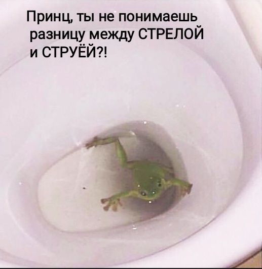 Принц ты не понимаешь разницу между СТРЕЛОЙ и СТРУЁЙ