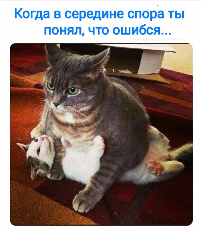 Когда В середине спора ТЫ ПОНЯЛ ЧТО ОШИбСЯ