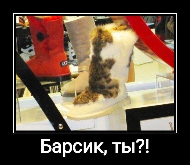 Барсик ты