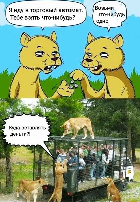 Возьми чтоп ибудь Я иду вторговый автомат Тебе взять чтдънибудь Куда вставлять деньги