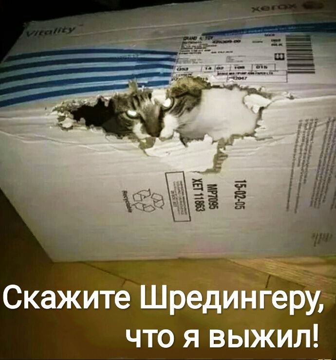 Скажите Шредиі іГебУ что я выжил