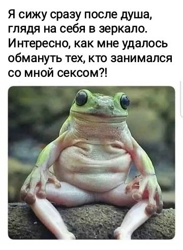 Я сижу сразу после душа глядя на себя в зеркало Интересно как мне удалось обмануть тех кто занимался со мной сексом