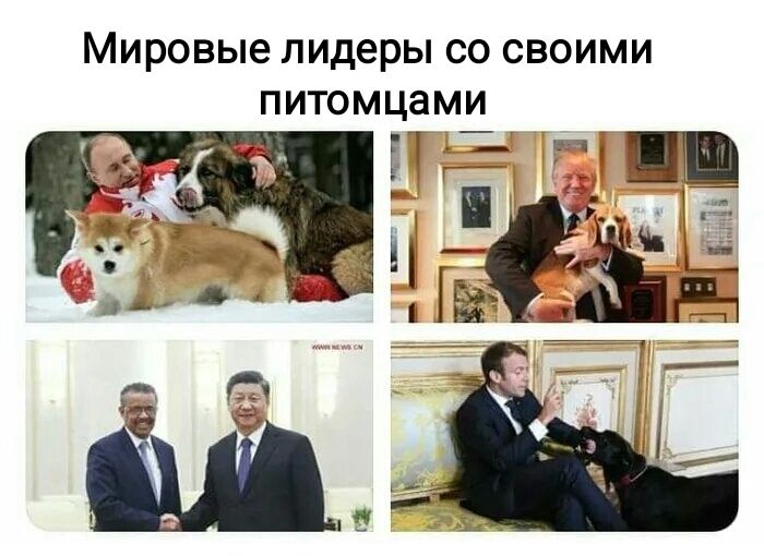мировые лидеры СО СВОИМИ ПИТОМЦЗМИ