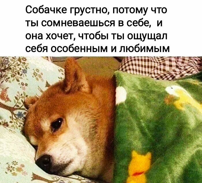 Собачке грустно потому что ты сомневаешься в себе и она хочет чтобы ты ощущал себя особенным и любимым 4