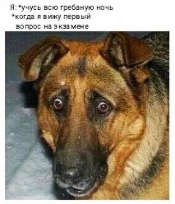 ч воге днлоз кзгда вии Невы и в излишние