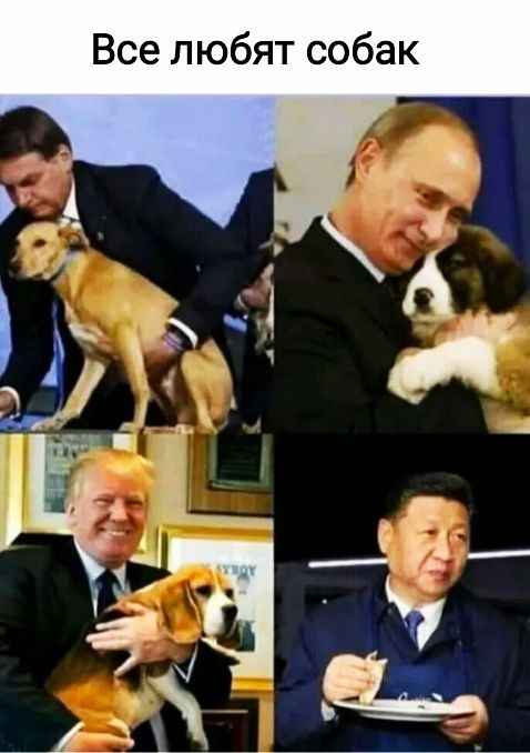 к а б о С Т я б Ю Л 6 С В