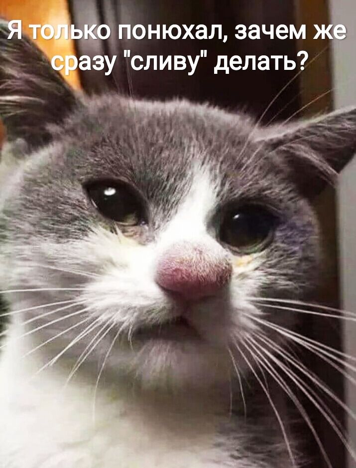Я понюхал зачем сразу сливу делать