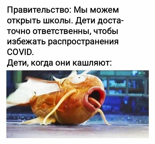 Правительство Мы можем открыть школы Дети доста точно ответственны чтобы избежать распространения СОУЮ Дети когда они кашляют
