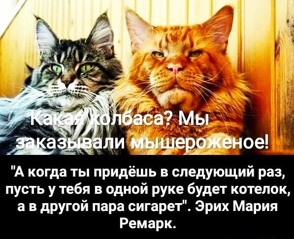 А когда ты придёшь в следующий раз пусть у тебя в одной руке будет котелок а в другой пара сигарет Эрих Мария Ремарк
