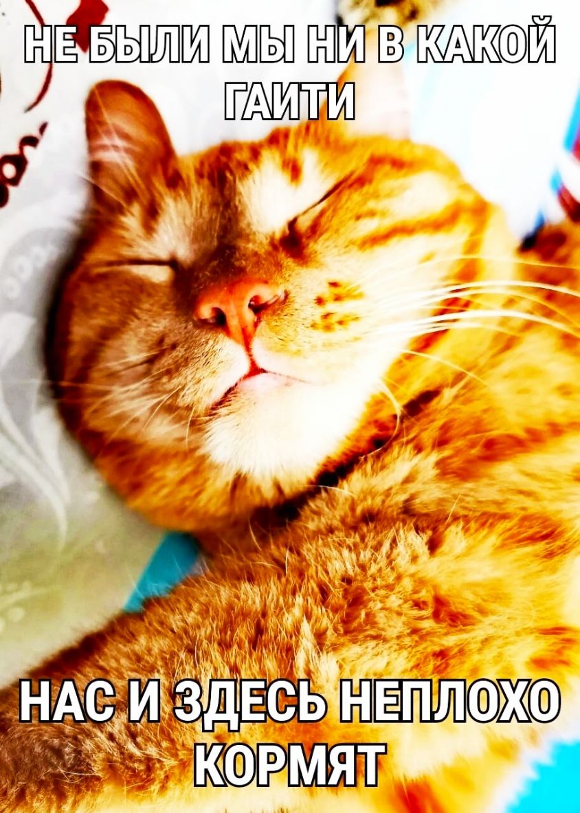 1 5 в