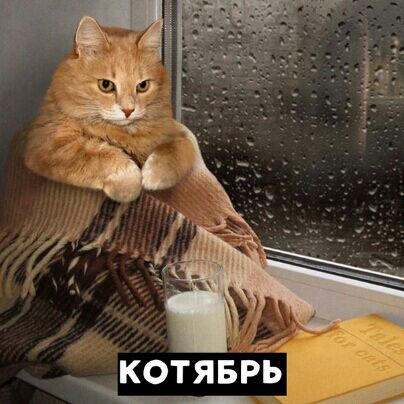 котяврз