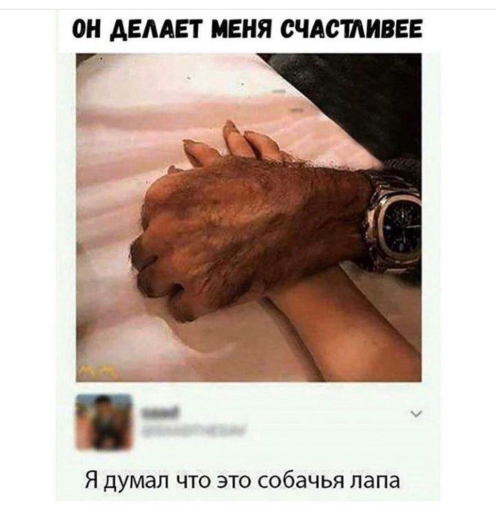 ОН АЕААЕТ МЕНЯ СЧАОШИВЕЕ Г Я ДУМЗП ЧТО ЭТО собачья лапа
