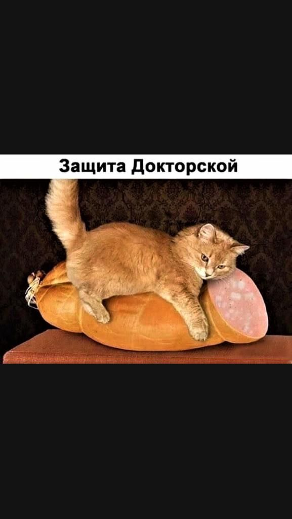 Защита докторской