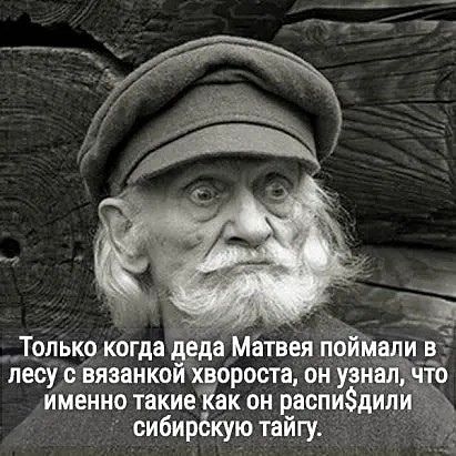 _Т9дьк9 когда двда Матвея п лесус вязанкойхвороста он уз именно такиеКак он распи сибирёкую тайгу