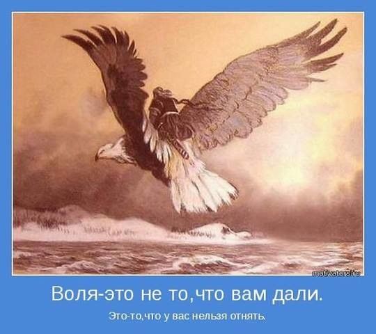 ВОЛЯ ЭТО не Т0 ГГО ВВМ дали эщщ по у вас нельзя огня