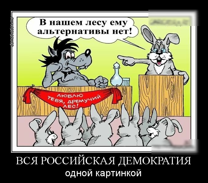 В нашем лесу ему альтернативы нет ВСЯ РОССИЙСКАЯ ДЕМОКРАТИЯ одной картинкой