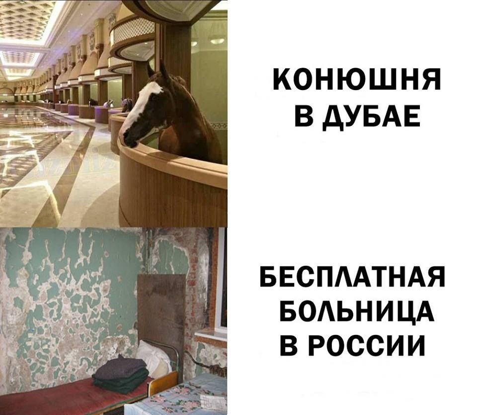 КОНЮШНЯ ЕЗДУБАЕ БЕСПААТНАЯ БОАЬНИЦА В РОССИИ
