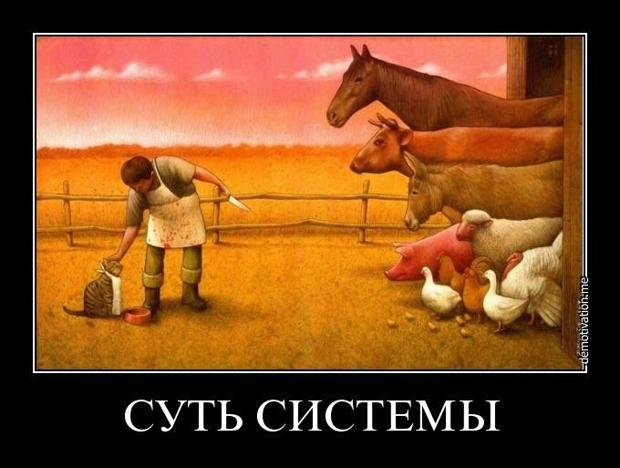 ч Ё пётпЕОзб ы СУТЬ СИСТЕМЫ