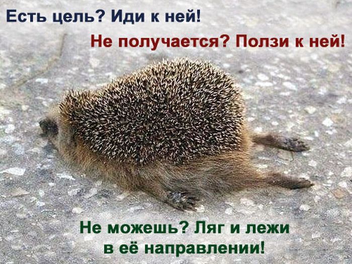 Есть цель Иди к ней ж е можешь Ляг и пежи в её направлении