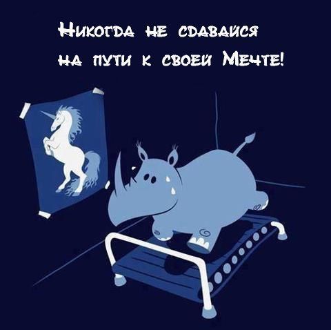 никоем и садимся пути свет Мечты
