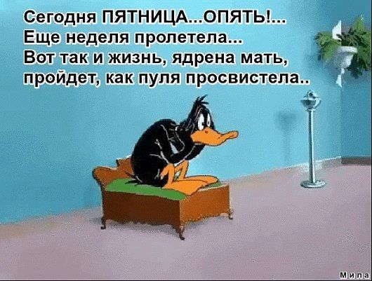Сегодня ПЯТНИЦА0ПЯТЫ Еще неделя пролетела Вот так и жизнь ядрена мать пройдет как пупя просвистела _а