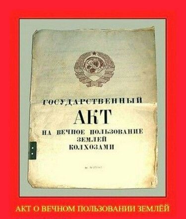АНТ _ ш лично полтонны эшли кол хинди