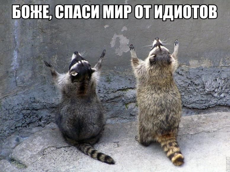 ЁШНЕ ВПАВИ МИР П ИДИПШВ я 5 3