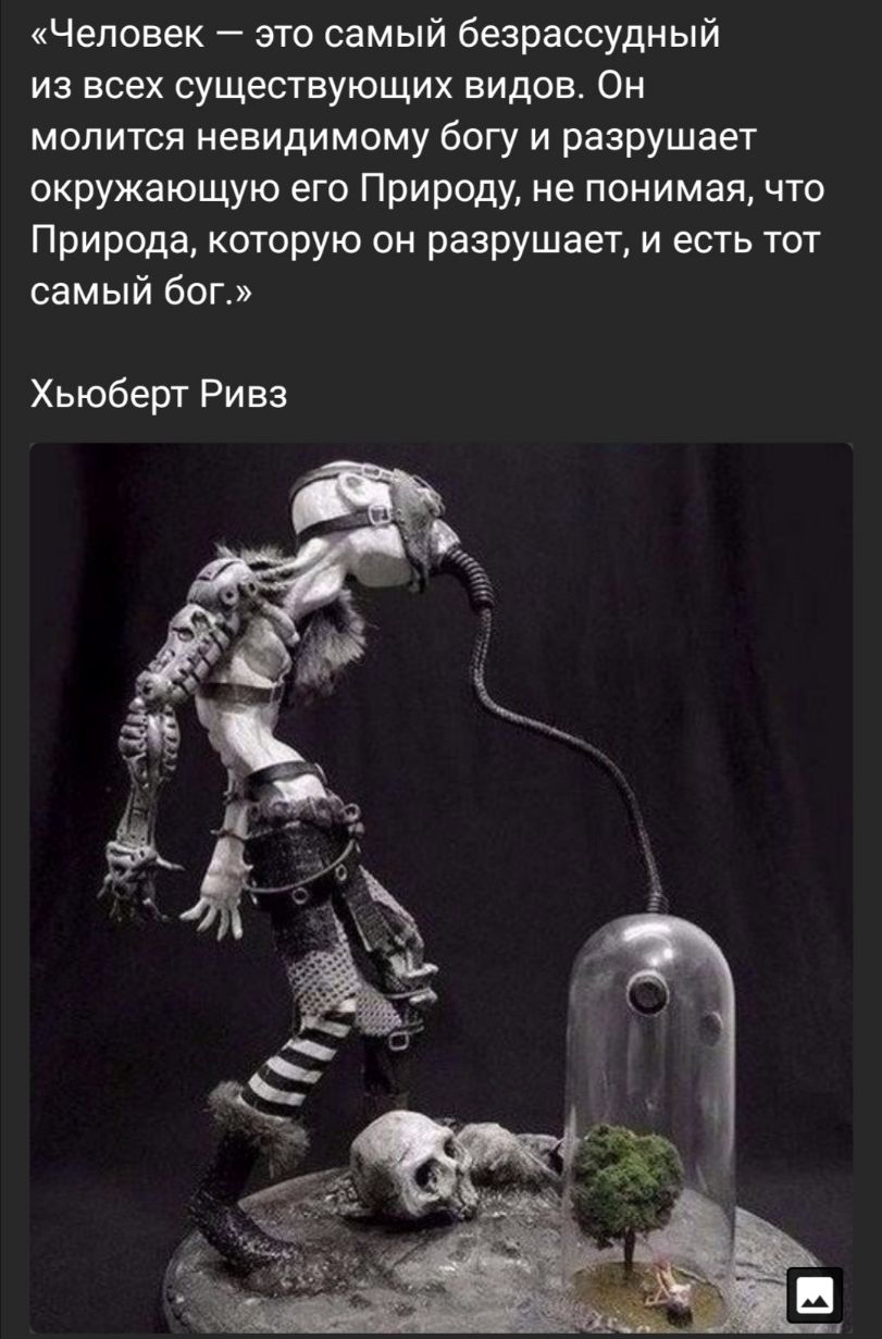 Человек это самый безрассудный из всех существующих видов Он молится невидимому богу и разрушает окружающую его Природу не понимая что Природа которую он разрушает и есть тот самый бог Хьюберт Ривз
