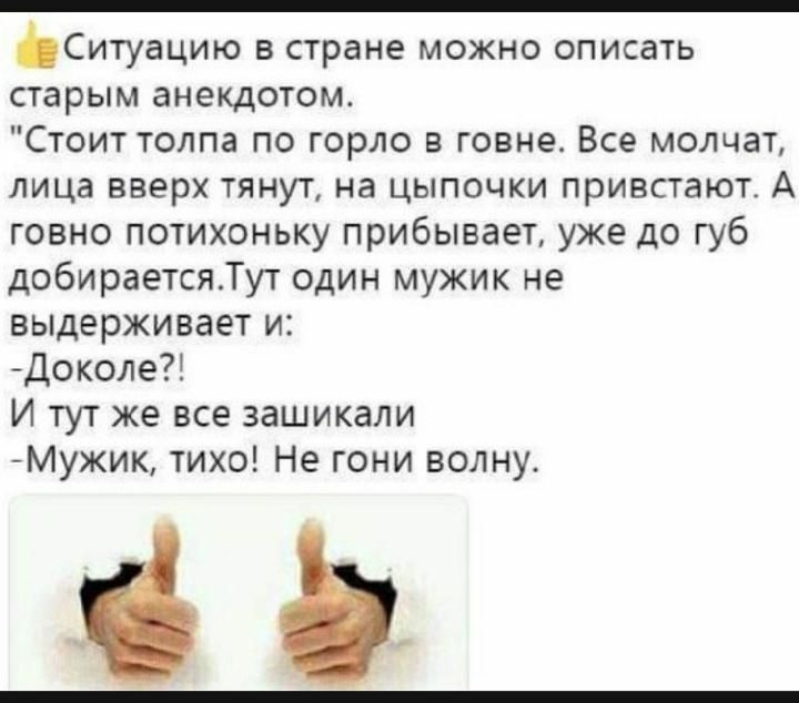 _Ситуацию в стране можно описать старым анекдотом Стоит толпа по горло в говне Все молчат лица вверх тянут на цыпочки привстают А говно потихоньку прибывает уже до губ добираетсяТут один мужик не выдерживает и Доколе И тут же все зашикали Мужик тихо Не гони волну