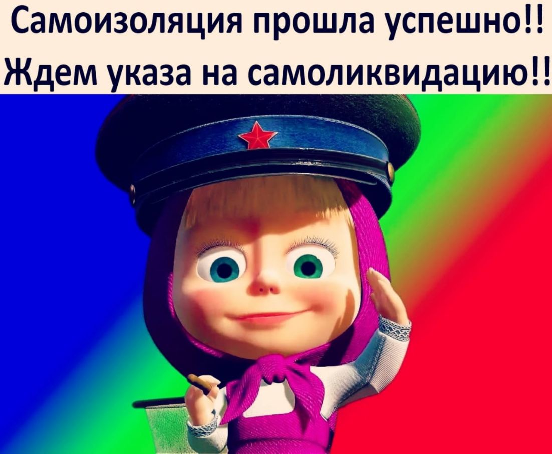 Самоизоляция прошла успешно Ждем указа на самоликвидацию