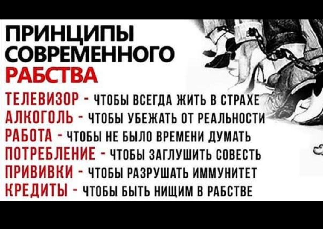 ПРИНЦИПЫ СОВРЕМЕННОГО 23 В ЕП чтпвывснгдджитьвстрдхв __ ТВ _ чтовы уввждть пт РЕАЛЬНОСТИ А РБШ чтовы нв Было вркмвни думдть ГТЧЛТ Е чтпвы здглушить совесть Р 3В чтпвы РАЗРУШАТЬ ИММУНИТЕТ Е г в чтовы выть нишим в РАБСТВЕ