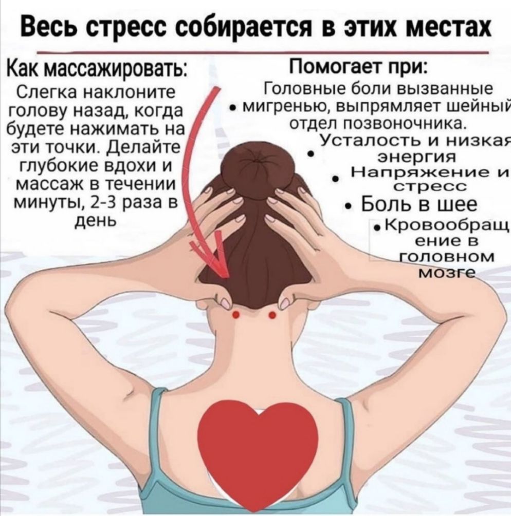 Весь стресс собирается в этих местах Как МССЗЖИРОВЗТЬЕ ПОМОГаеТ ПРИ Слегка наклоните Головные бОЛИ вызванные голову назад когда мигренью ВЫПРЯМЛЯЭТ шейный будете нажимать на отдел ПОЗВОНОЧНИКЗ ЭТИ ТОЧКИ Делайте УСТЭЛОСТЬ И НИЗКЗБ глубокие вдохи и энергия Напряжение и массаж В течении стресс минуты 2 3 раза в Боль в шее день Кровообращ ение в _сссдтрвном мозге_