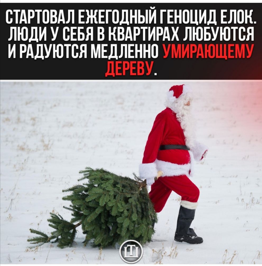 ВТАРТОВАЛ ЕЖЕГОДНЫЙ ГЕНОЦИД ЕЛПН ЛЮДИ У СЕБЯ В КВАРТИРАХ ЛЮБУЮТСЯ И РАДУЮТВЯ МЕЁЁЁЁЕФП УМИРАЮЩЕМУ