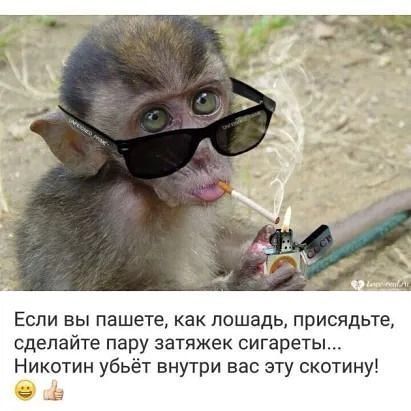 Если вы пашете какпошадь присядь е сделайте пару затяжек сигареты Никотин убьёт внутри вас эту скотину
