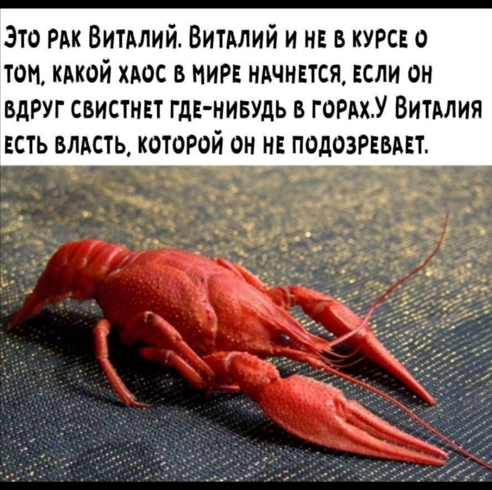 Это РАК Витдлий ВИТАЛИЙ и нв в курск о том кокой хдос в мира ночнвтся если он вдруг свистнвт гдэ нивудь в ГОРАХУ Витдлия есть влдсть которой он нв подозрввмт