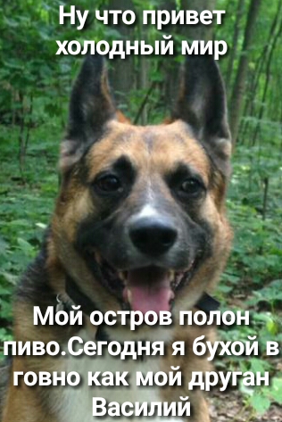 Ну что прИвет холодный мир ц ёмЬй остЫЁопо пиво тибегоднй