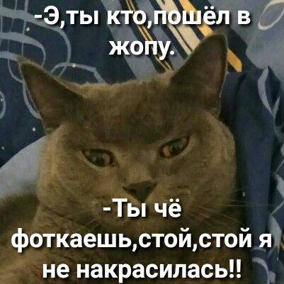 _ Эты ктьдъ л в 5 жоЪу 8 7 Ты чё фоткаешьстойстой я не накрасилась