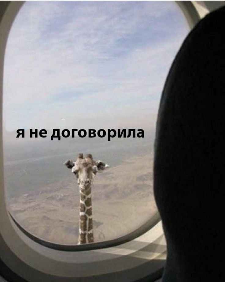 Я не договорила