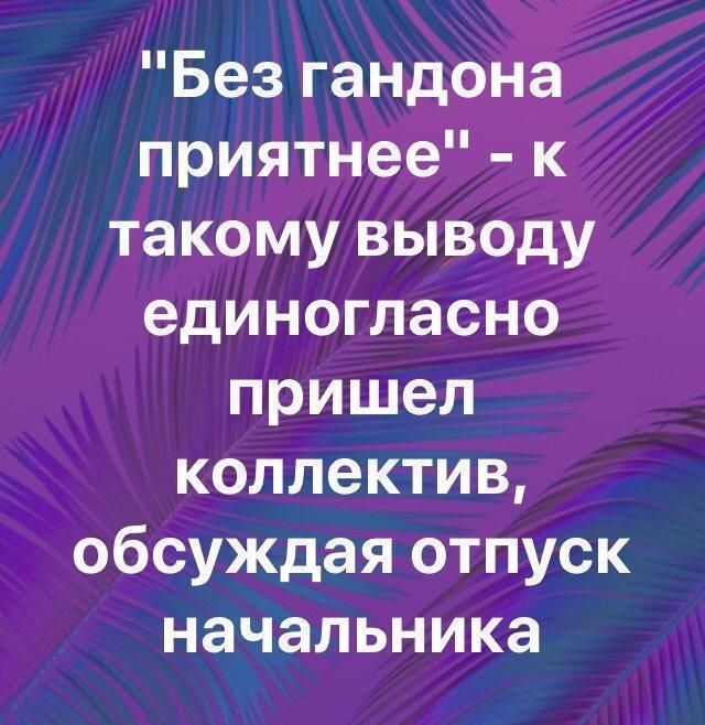 Без гандона приятнее к такому выводу единогласно пришел коллектив обсуждая отпуск начальника