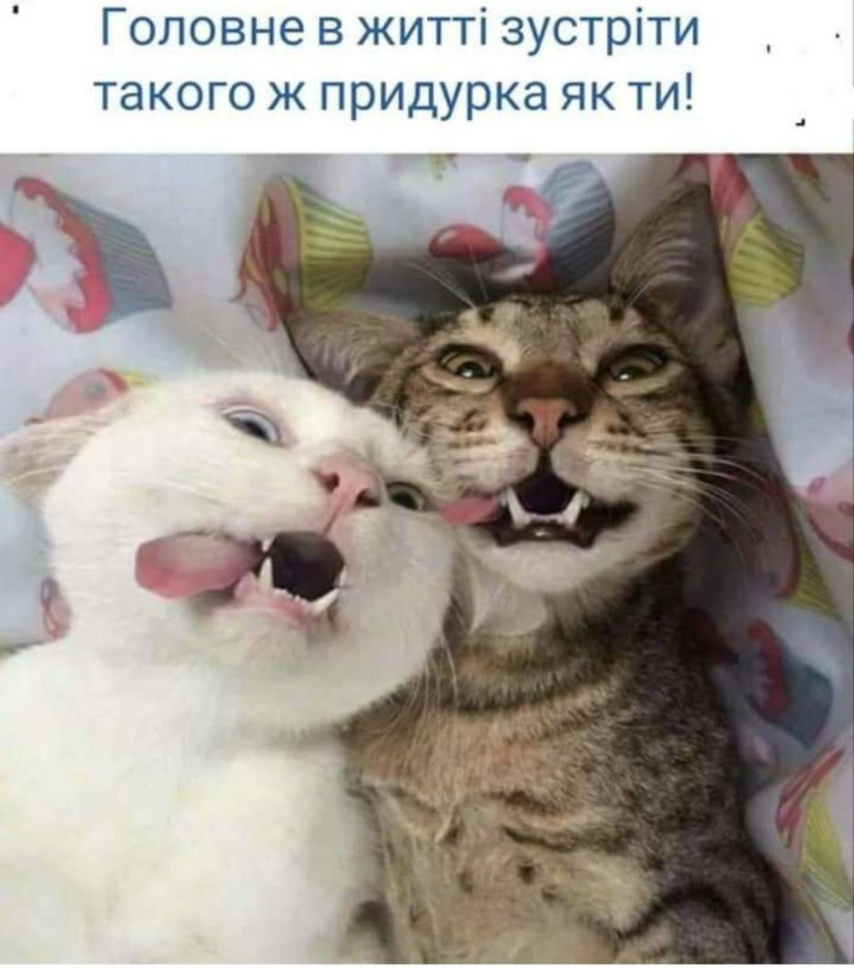 Головне в житті зустріти такого ж придурка як ти