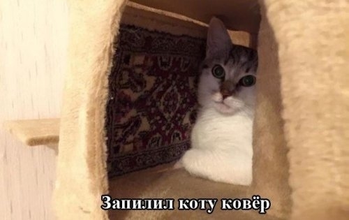 Запиши