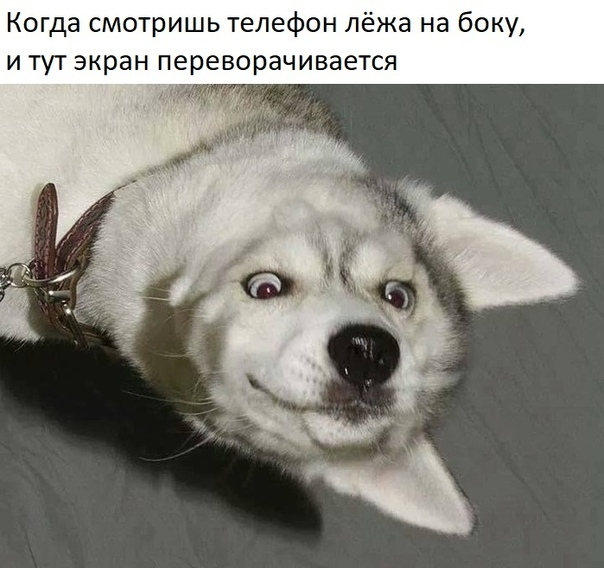 К гда смотришь телефон лёжа на боку и тут экран переворачивается