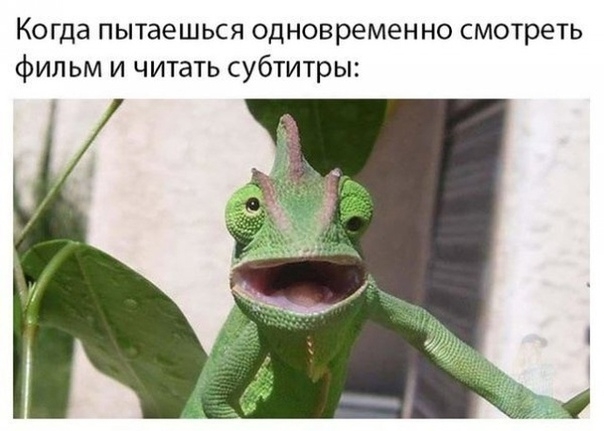 Когда пытаешься одновременно смотреть фильм и читать субтитры