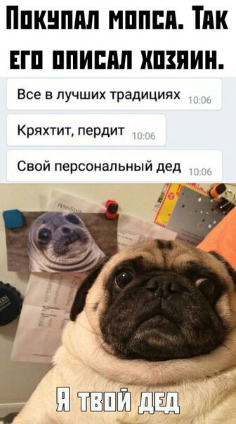 Ппкнппп мпппи Тик гп ппиппл ипзиин Все в лучших традициях Кряхтит пердит Свой персоналъный дед