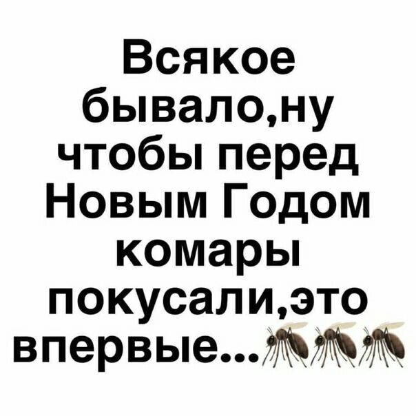 Всякое бывалону чтобы перед Новым Годом комары покусалиэто впервыел